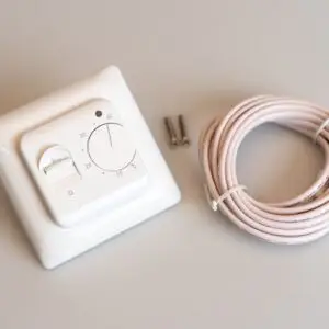 Termostatas pigus